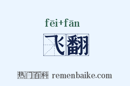 飞翻是什么意思的图片